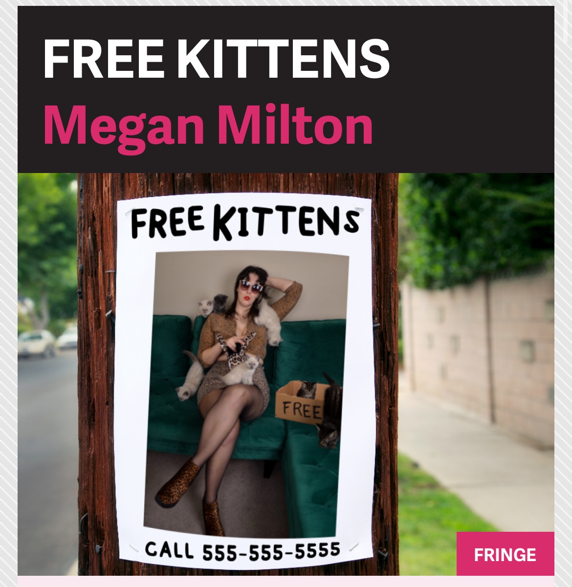 A screenshot of the free kittens poster from the fringe festival guide. Milton sits on a couch with kittens crawling all over her. The poster says free kittens.